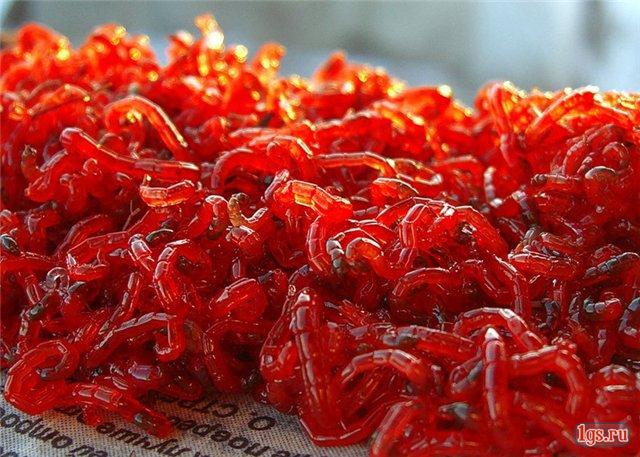 Продам ЖИВОЙ МОТЫЛЬ.