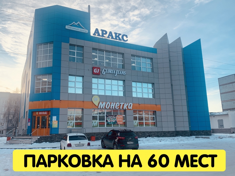 Цокольный этаж в ТЦ Аракс, 650 м2