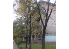 Сдам светлую комнату.