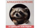Алмазное бурение в Одинцово сверление отверстий в бетоне